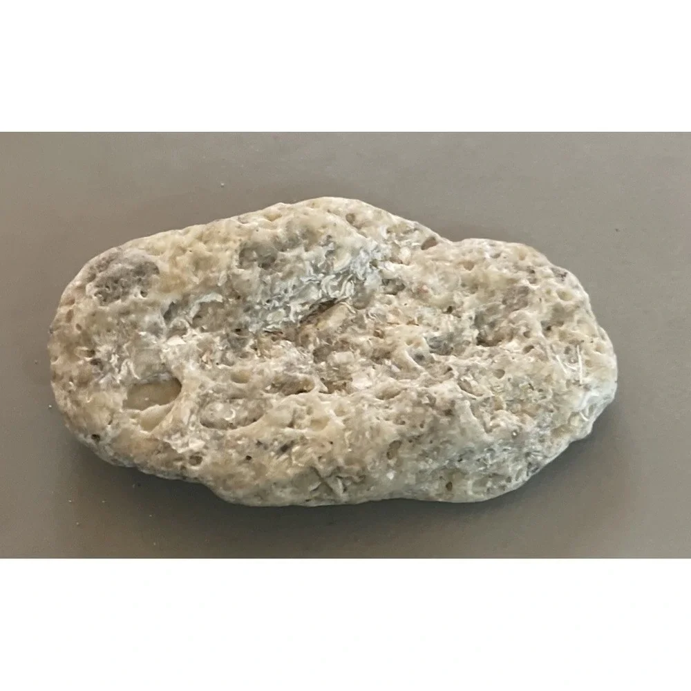 Fossilized Coral Natural Surf Tumbled 5.5